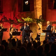 Programación de noviembre